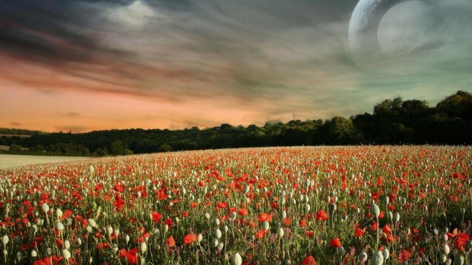 如何看待英雄联盟前职业选手mlxg官司输了，被强制执行2500w？